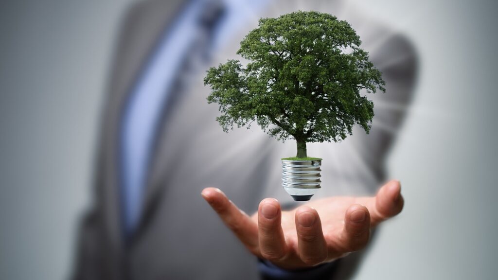Sustainability in Business: Integrating Environmental Responsibility into Management.