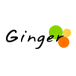 Ginger Web Logo